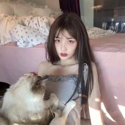 夏绿蒂的网